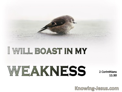 2 Corinthians 11:30 I Boast Of What Pertains To My Weakness (sage)